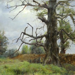 Наталия Егорова "Старое дерево"