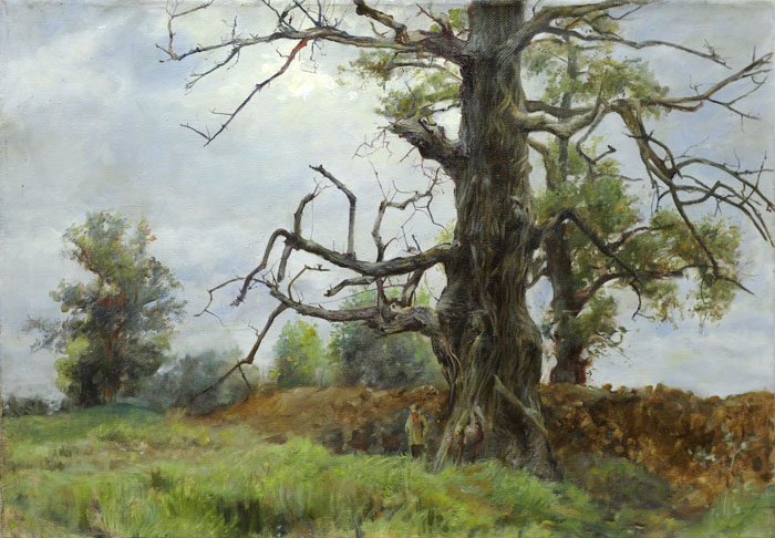 Наталия Егорова "Старое дерево"