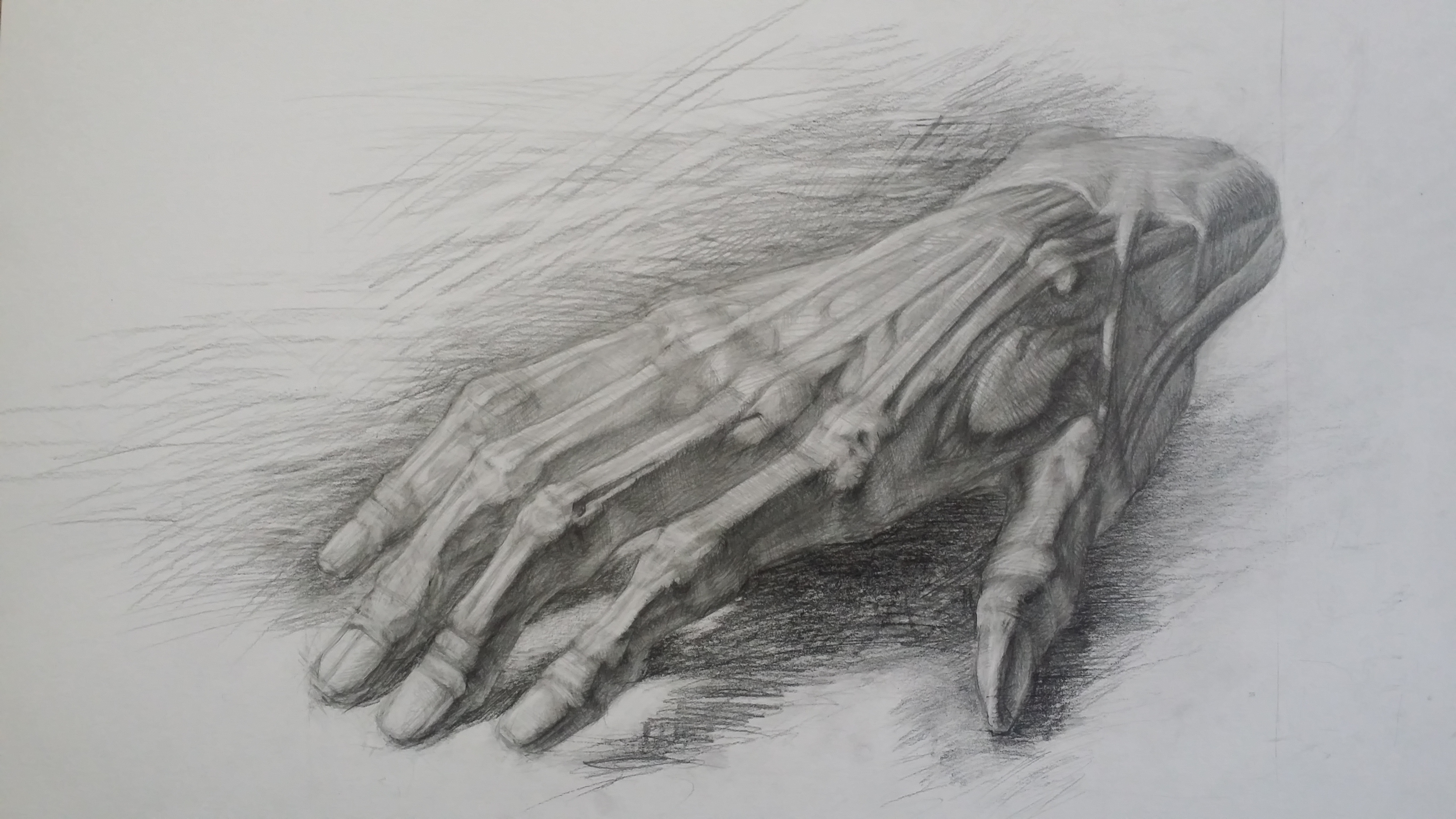 Гипсовая рука (кисть руки) - учебный рисунок карандашом