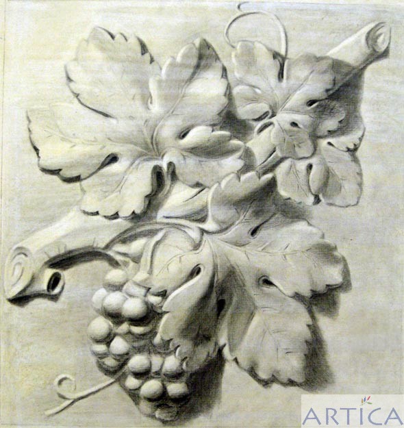 Рисунок гипсового рельефа "Виноградная лоза". Бумага, уголь.
