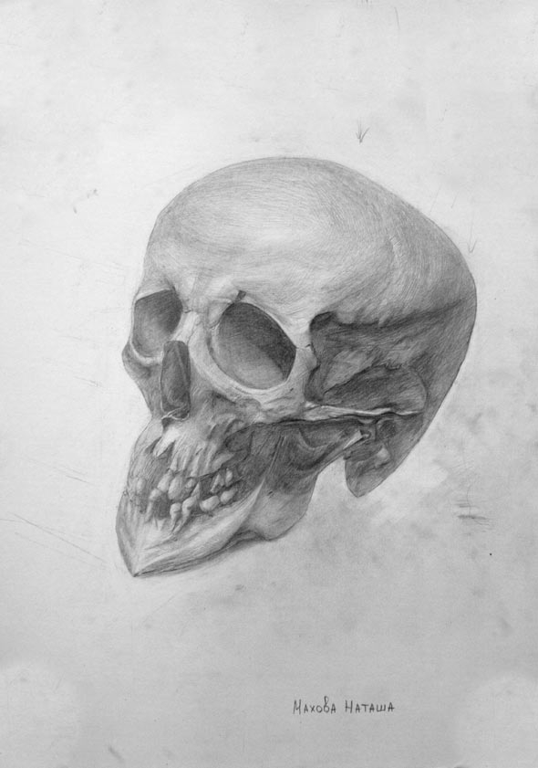 Рисуем череп человека в ракурсе. Анатомический рисунок