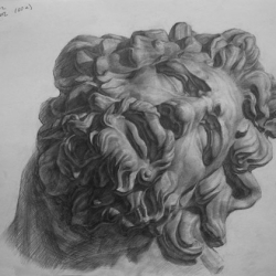 Академический рисунок гипсовой головы Лаокоона