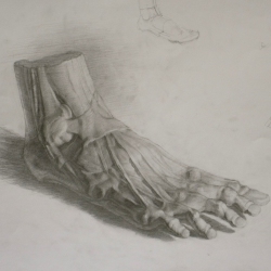 Гипсовая ступня ноги сбоку - учебный рисунок карандашом.