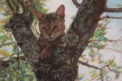 Рисование пастельными мелками животных. Кот на дереве